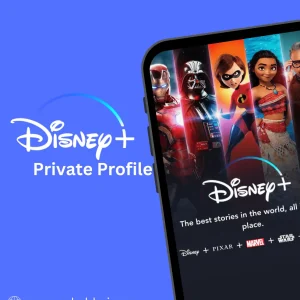 Disney Plus subscription in Bangladesh private profile packages Full HD 4K 1 device VPN USA server