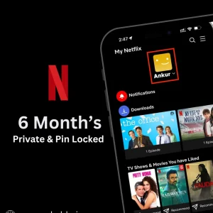 Netflix premium 6 months private profile Bangladesh - 4K UHD PIN protected TV laptop mobile